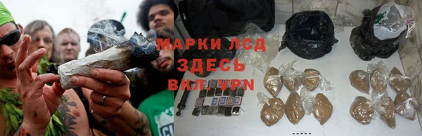 трава Медногорск