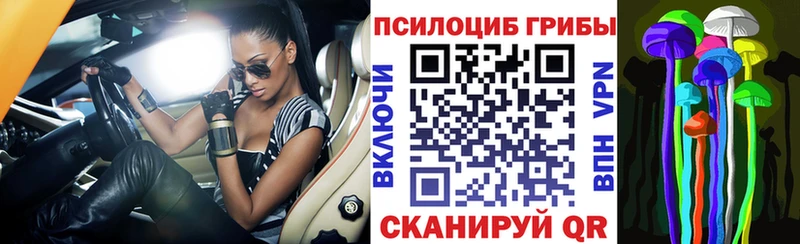 Псилоцибиновые грибы мицелий  кракен зеркало  Кемерово  хочу  